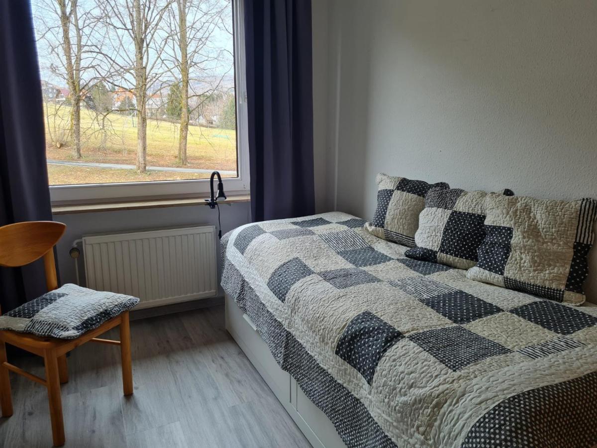 Grosse Wohnung - Kamin - Balkon - Boxspringbett - Skiwiese Braunlage Exterior foto